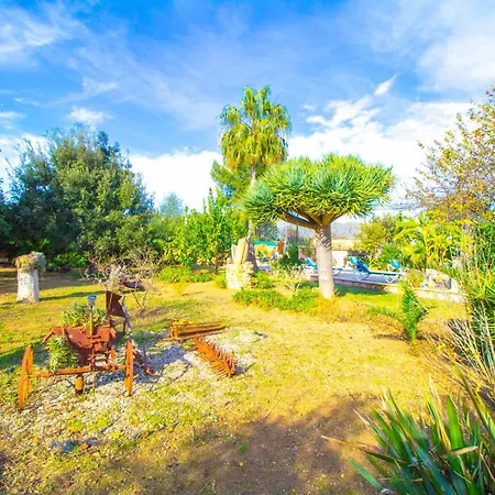 Beautiful, Sunny With Wifi Villa